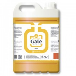 ΥΓΡΟ ΑΦΑΙΡΕΤΙΚΟ ΚΑΡΒΟΥΝΙΛΑΣ GALE 5 lt