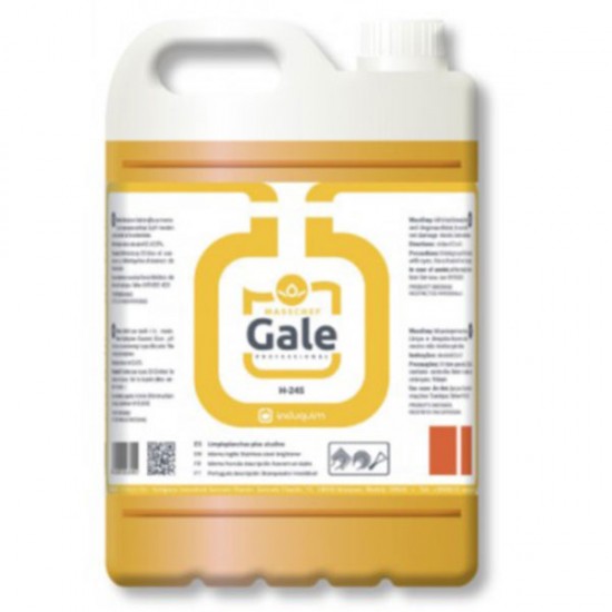 ΥΓΡΟ ΑΦΑΙΡΕΤΙΚΟ ΚΑΡΒΟΥΝΙΛΑΣ GALE 5 lt ΥΓΡΟ ΑΦΑΙΡΕΤΙΚΟ ΚΑΡΒΟΥΝΙΛΑΣ GALE 5 lt