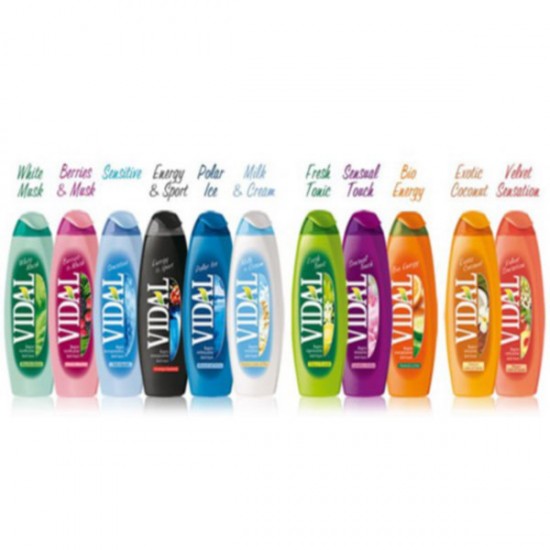 ΑΦΡΟΛΟΥΤΡΟ VIDAL 500 ml