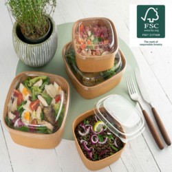 ΣΚΕΥΟΣ ΣΑΛΑΤΑΣ ΧΑΡΤΙΝΟ CRAFT ΤΕΤΡΑΓΩΝΟ + ΚΑΠΑΚΙ ΔΙΑΦΑΝΟ 50 τεμ