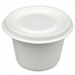 ΣΩΣΑΚΙ ΖΑΧΑΡΟΚΑΛΑΜΟΥ + ΚΑΠΑΚΙ ΖΑΧΑΡΟΚΑΛΑΜΟΥ 100 τεμ.