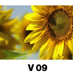 ΣΟΥΠΛΑ ΜΕ ΛΟΥΛΟΥΔΙΑ 1000 τεμ